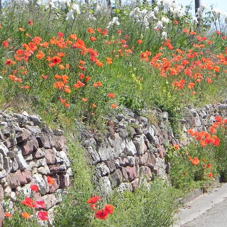 Nid De Cigognes Leilighet Rosheim Eksteriør bilde