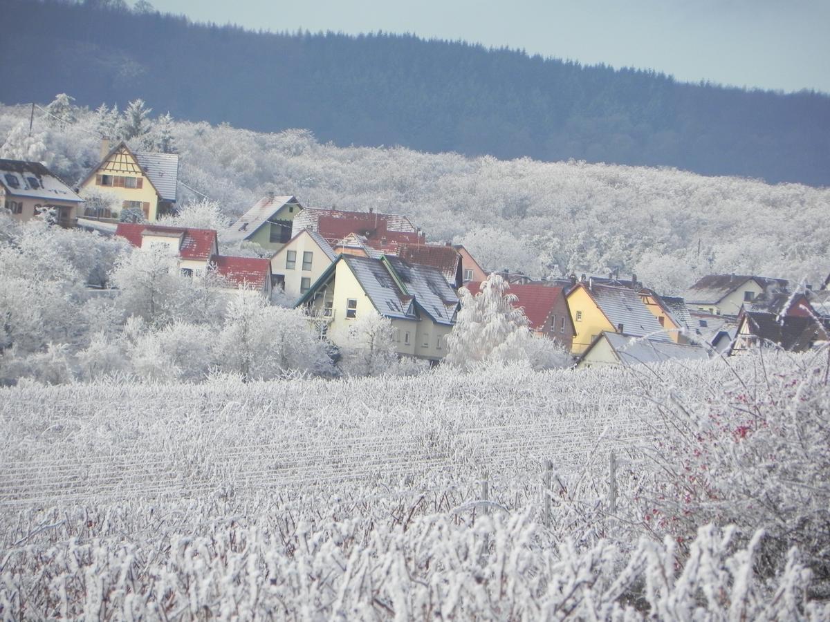 Nid De Cigognes Leilighet Rosheim Eksteriør bilde